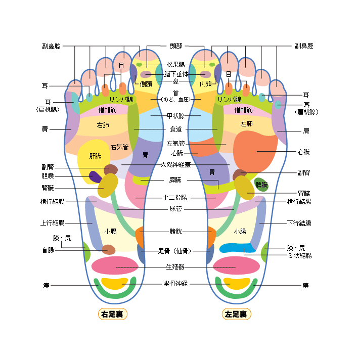 足のツボ